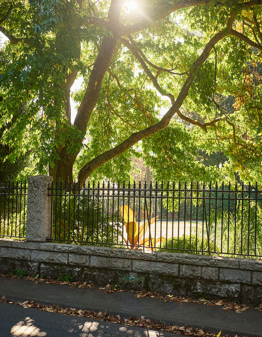 Rockland Neighbourhood